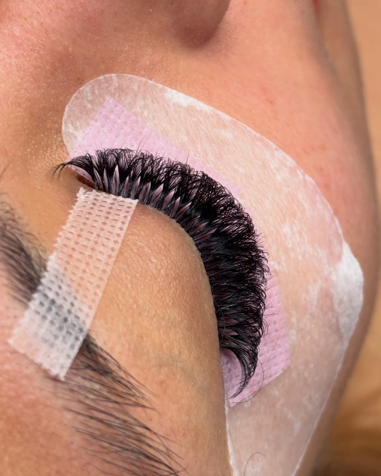 Volume lash extensions being set, close up